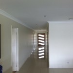 IMG_0771
